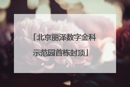 北京丽泽数字金科示范园首栋封顶