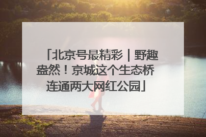 北京号最精彩｜野趣盎然！京城这个生态桥连通两大网红公园