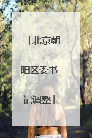 北京朝阳区委书记调整