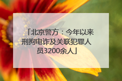 北京警方：今年以来刑拘电诈及关联犯罪人员3200余人
