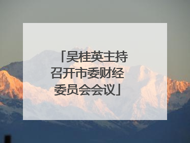 吴桂英主持召开市委财经委员会会议