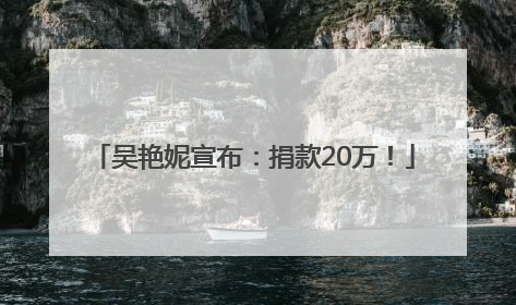 吴艳妮宣布：捐款20万！