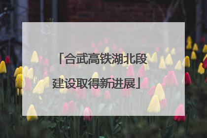 合武高铁湖北段建设取得新进展