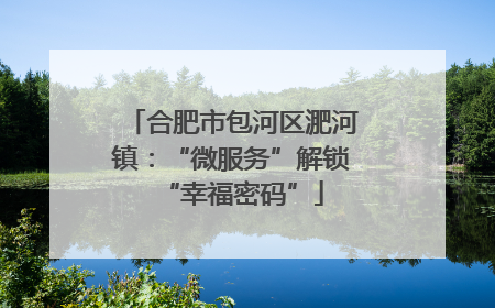 合肥市包河区淝河镇：“微服务”解锁“幸福密码”