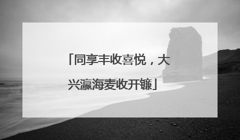 同享丰收喜悦，大兴瀛海麦收开镰