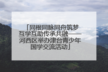 同根同脉同舟筑梦 互学互助传承共融——河西区举办津台青少年国学交流活动