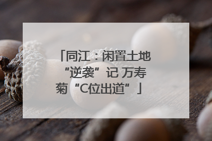 同江：闲置土地“逆袭”记 万寿菊“C位出道”