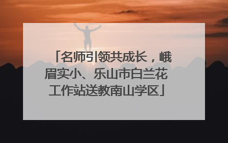 名师引领共成长，峨眉实小、乐山市白兰花工作站送教南山学区