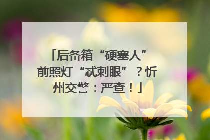 后备箱“硬塞人” 前照灯“忒刺眼”？忻州交警：严查！