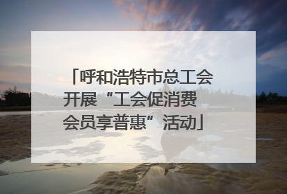 呼和浩特市总工会开展“工会促消费 会员享普惠”活动