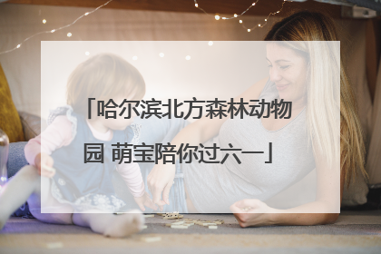 哈尔滨北方森林动物园 萌宝陪你过六一