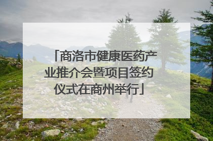 商洛市健康医药产业推介会暨项目签约仪式在商州举行