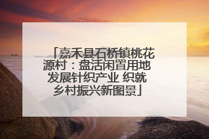 嘉禾县石桥镇桃花源村：盘活闲置用地发展针织产业 织就乡村振兴新图景