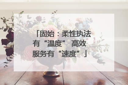 固始：柔性执法有“温度” 高效服务有“速度”