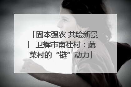 固本强农 共绘新景 ︳卫辉市南社村：蔬菜村的“链”动力