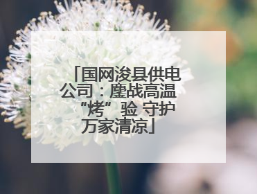 国网浚县供电公司：鏖战高温“烤”验 守护万家清凉