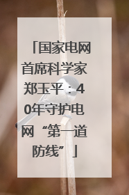 国家电网首席科学家郑玉平：40年守护电网“第一道防线”