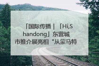 国际传播｜「Hi,Shandong」东营城市推介展亮相“从蒙马特到加里波第”文化节