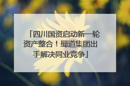 四川国资启动新一轮资产整合！蜀道集团出手解决同业竞争