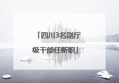 四川3名副厅级干部任新职