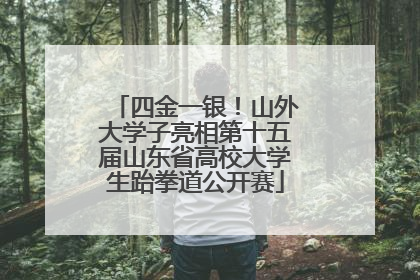 四金一银！山外大学子亮相第十五届山东省高校大学生跆拳道公开赛
