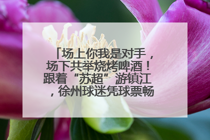场上你我是对手，场下共举烧烤啤酒！跟着“苏超”游镇江，徐州球迷凭球票畅游名山胜景