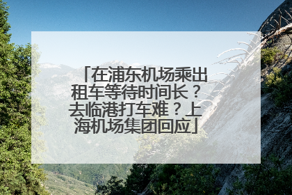 在浦东机场乘出租车等待时间长？去临港打车难？上海机场集团回应
