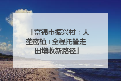 富锦市振兴村：大垄密植+全程托管走出增收新路径