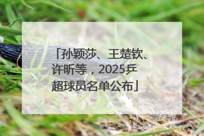 孙颖莎、王楚钦、许昕等，2025乒超球员名单公布