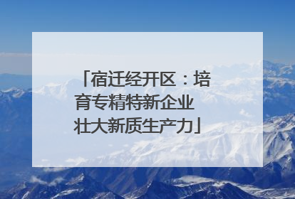 宿迁经开区：培育专精特新企业 壮大新质生产力