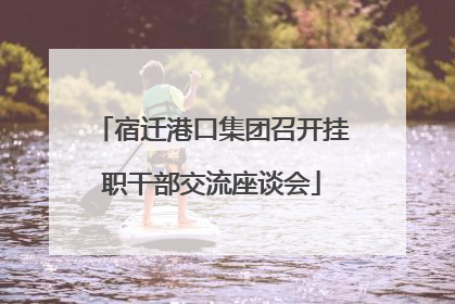 宿迁港口集团召开挂职干部交流座谈会
