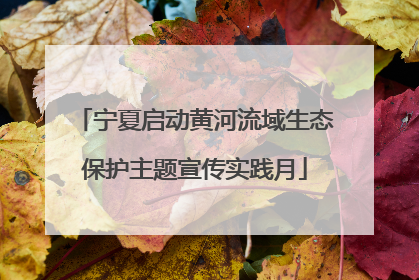 宁夏启动黄河流域生态保护主题宣传实践月