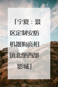 宁夏：景区定制安防机器狗亮相镇北堡西部影城