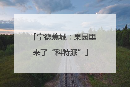 宁德蕉城：果园里来了“科特派”