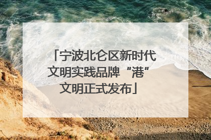 宁波北仑区新时代文明实践品牌“港”文明正式发布
