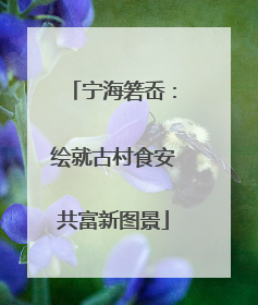 宁海箬岙：绘就古村食安共富新图景