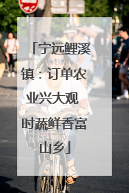 宁远鲤溪镇：订单农业兴大观 时蔬鲜香富山乡