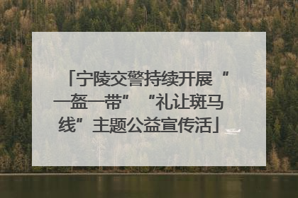 宁陵交警持续开展“一盔一带”“礼让斑马线”主题公益宣传活