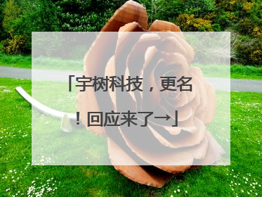 宇树科技，更名！回应来了→