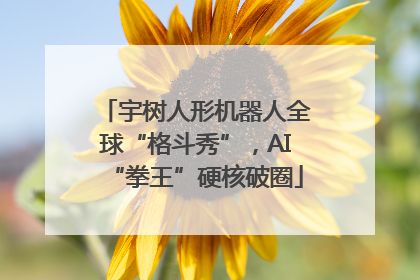 宇树人形机器人全球“格斗秀”，AI“拳王”硬核破圈