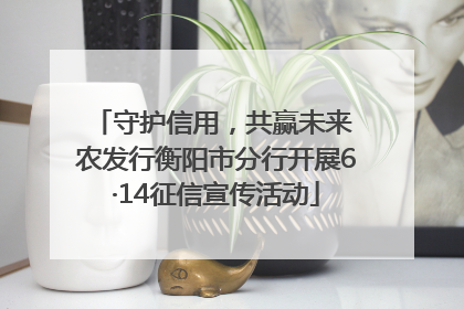守护信用，共赢未来 农发行衡阳市分行开展6·14征信宣传活动