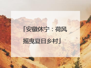 安徽休宁：荷风摇曳夏日乡村