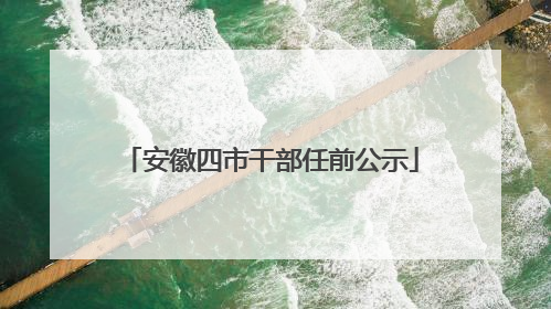 安徽四市干部任前公示