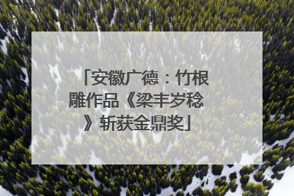 安徽广德：竹根雕作品《梁丰岁稔》斩获金鼎奖