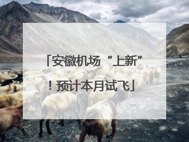 安徽机场“上新”！预计本月试飞