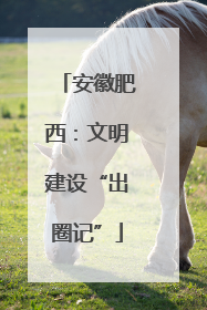 安徽肥西：文明建设“出圈记”