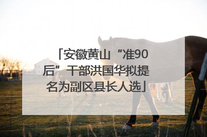 安徽黄山“准90后”干部洪国华拟提名为副区县长人选