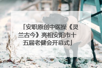 安职原创中医操《灵兰古今》亮相安阳市十五届老健会开幕式