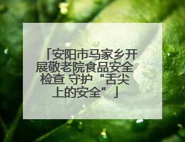 安阳市马家乡开展敬老院食品安全检查 守护“舌尖上的安全”