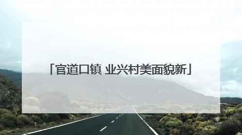 官道口镇 业兴村美面貌新